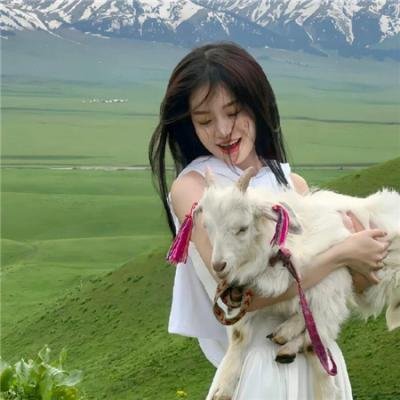 我是一部照相机